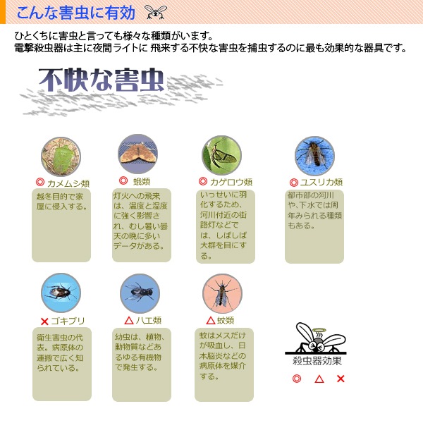 �����ŵ� Ǵ�弰����� ���󥻥��ȥ���å� (�����ѡ����ץ��С���)[SIC20200] (���ʹ��졦����ӥˡ���˼�ʤɤ�)������̵��������Բġ�