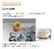 �ѥ��� �ӥ�ȥ��󥳥�� ����ѥ��ȥ��å��� 32cm �ץ���ʥ֥�å� PKD-230B 2������� �ۡ������ȥå� ���ä��ꥯ�꡼�󥴥ȥ� �ĥ��󥷡���ɹ�¤ �ä�˺��òе�ǽ �ⲹ�֤ᵡǽ Ĵ������Ǯ�ɻ����� �Իԥ��� LP���� �ץ��ѥ󥬥� ������ ����Բ�
