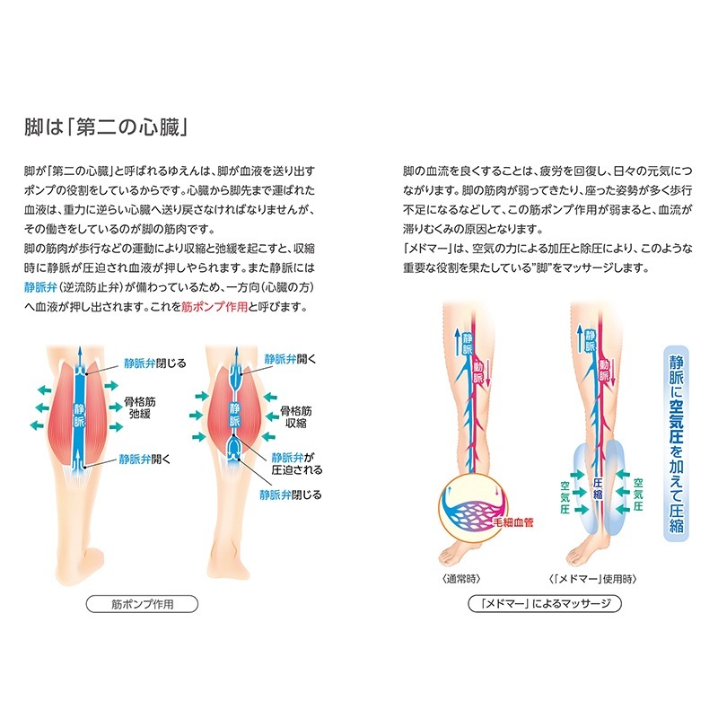 칩 ɥɥޡ Хɥå DM-4S ѥ ޥå ޥå ԥ ֥롼  य ð ŵ  MEDOMER