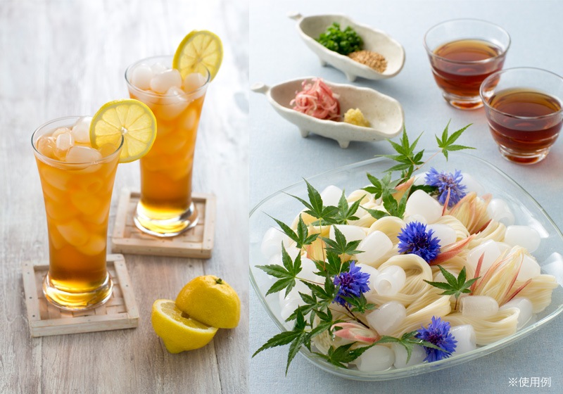 ٥륽 ®ɹ VS-ICE012 ֥å ɹ  ưɹ ѥ  ɹ ɹ᡼ ɹ¤ 󥯼 åդ