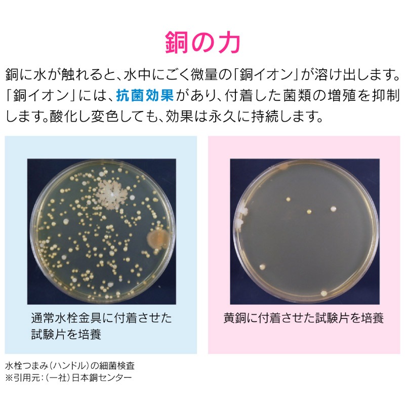  쥫 ήӿץ졼 Ƽ ե ߼Τդ å ή   شñ GA-PB002  GAONA 