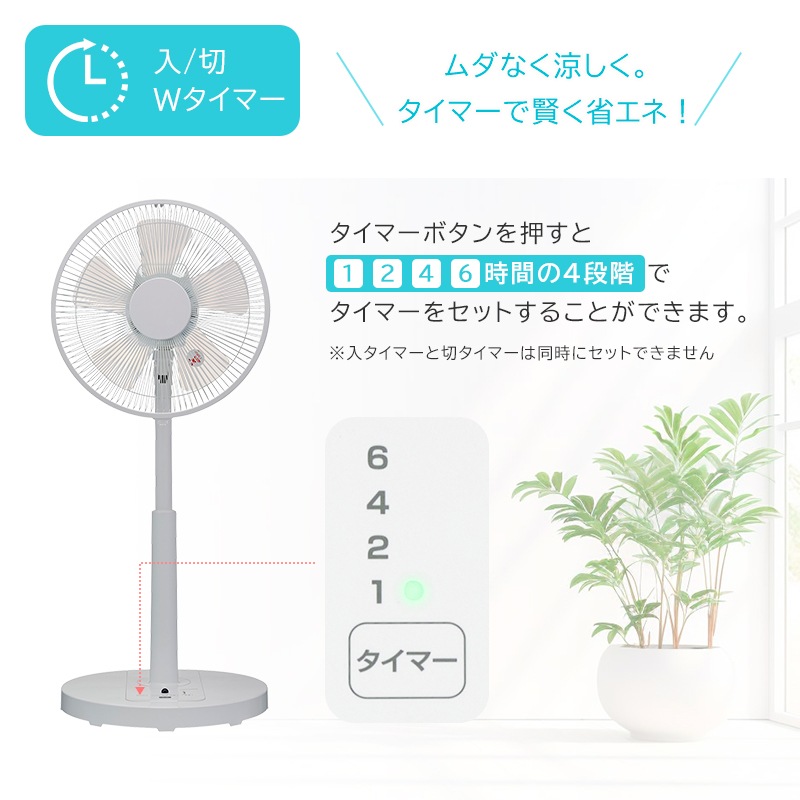 11_000000011686.jpg?1751440361