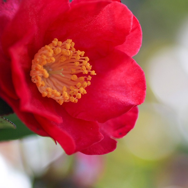 θʴֹͥءʤ٤ˤĤФˡ