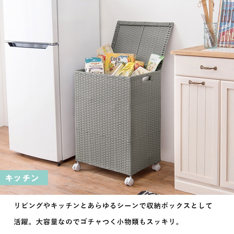 ���ɥ꡼��å� ������ �Х����åȥ����� ��Ǽ�ܥå��� ���դ� ���㥹�����դ� �������ʥ饿��Ĵ �������Ȣ ʬ�� ����Ȣ �Ȥ�Ω�Ƽ� �ۥ磻�� �������֥饦�� ���졼 ����Բ�