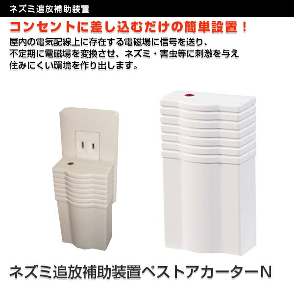 ֥ͥڥȥ ͤ߶ żǷ ༣