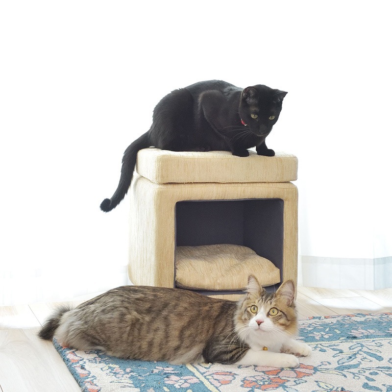 �ڥåȥϥ��� �ڥåȥ��ġ��� ǭ ������ �����ػ� PET-62GR �ڥåȥ٥å� ���å�����դ� ��ë AZUMAYA ����Բ�