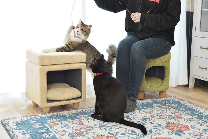 �ڥåȥϥ��� �ڥåȥ��ġ��� ǭ ������ �����ػ� PET-62GR �ڥåȥ٥å� ���å�����դ� ��ë AZUMAYA ����Բ�