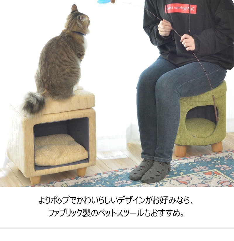 ڥåȥϥ ڥåȥġ ǭ  ػ PET-63  ڥåȥ٥å åդ ŷڥѥ 饿 ë AZUMAYA Բ