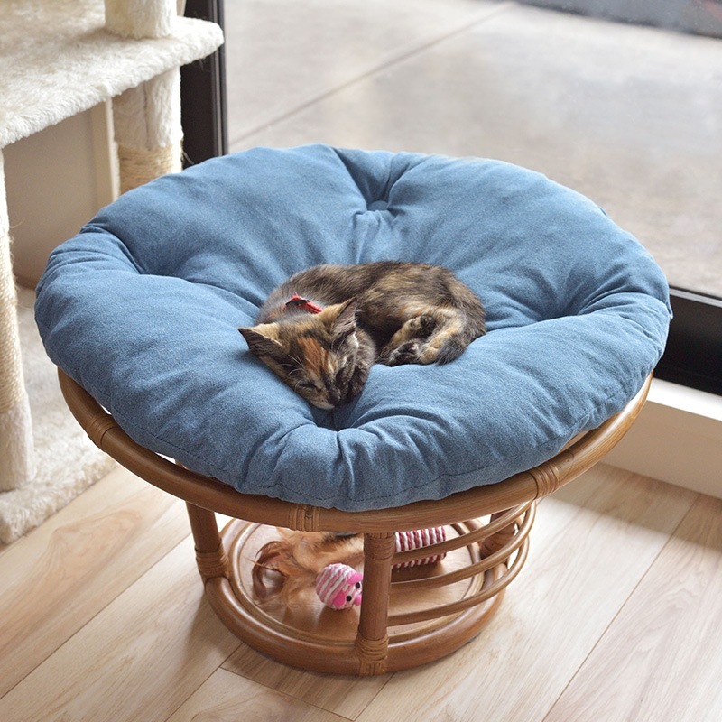 ڥåȥϥ ڥåȥġ ǭ  ػ PET-64  ڥåȥ٥å åդ 饿 ë AZUMAYA Բ