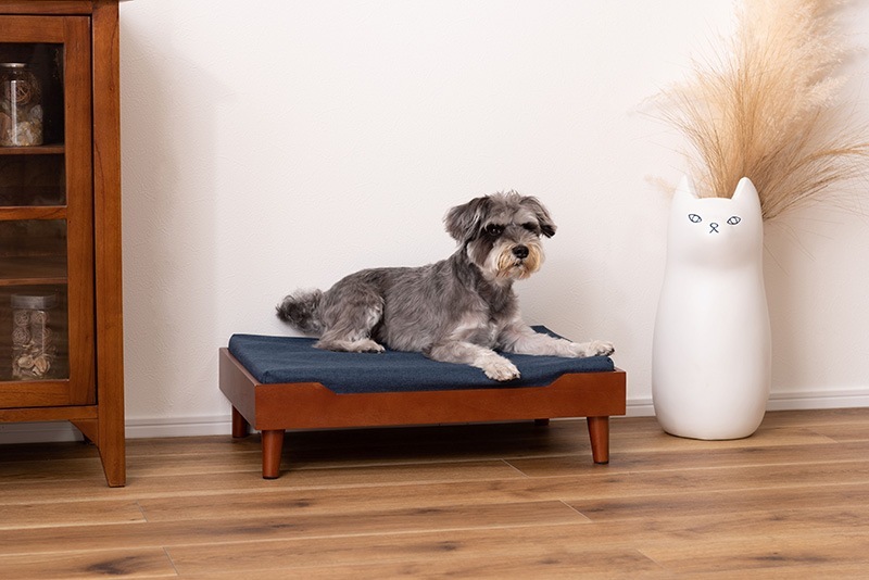 �ڥåȥ٥å� ���å���� ǭ ������ �����٥å� PET-121 ���С���� ���ѥޥåȥ쥹 �������������� ��ë AZUMAYA ����Բ�