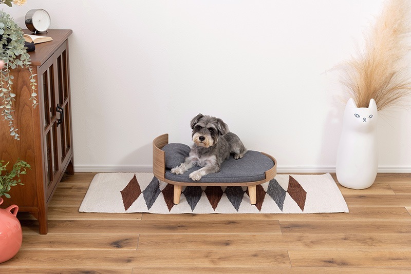 �ڥåȥ٥å� ���å���� ǭ ������ �����٥å� PET-123 ���դ� ���С���� ���ѥޥåȥ쥹 �������������� ��ë AZUMAYA ����Բ�