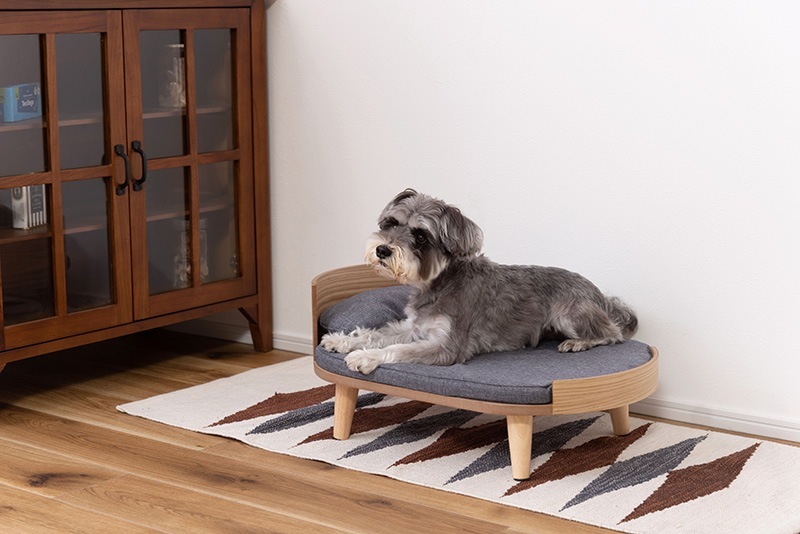 �ڥåȥ٥å� ���å���� ǭ ������ �����٥å� PET-123 ���դ� ���С���� ���ѥޥåȥ쥹 �������������� ��ë AZUMAYA ����Բ�