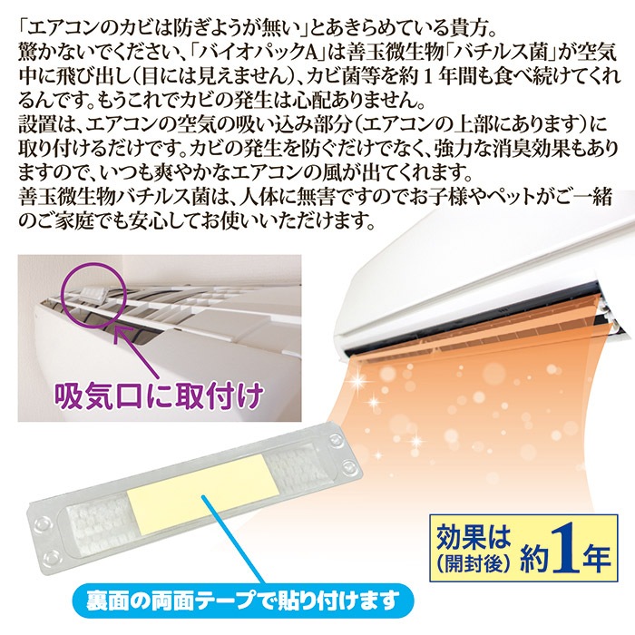 �����ѥ����������� �Х����ѥå�A 870455 �Х����ɥ��Ӻ� �ý� �ɽ� ���������� �����ɻ� ����ͽ�� ���Ӽ�� ��ñ���� ���������� �ü��� ��ƣ ���ȥ� ���軨�� ������ ������