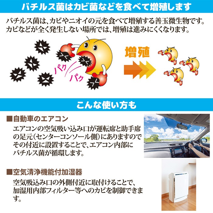 �����ѥ����������� �Х����ѥå�A 870455 �Х����ɥ��Ӻ� �ý� �ɽ� ���������� �����ɻ� ����ͽ�� ���Ӽ�� ��ñ���� ���������� �ü��� ��ƣ ���ȥ� ���軨�� ������ ������