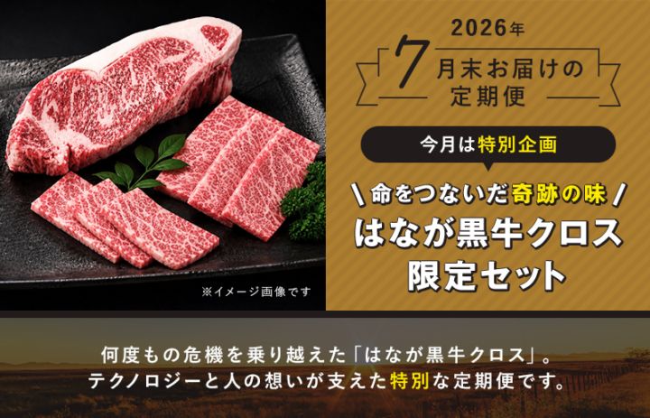 『おいしい、うれしい』お肉の定期便【毎月お届け】
