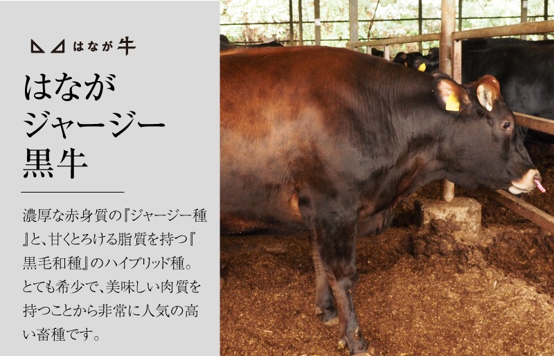 [数量限定] はながジャージー黒毛牛 ロース　焼肉用 (約200g）