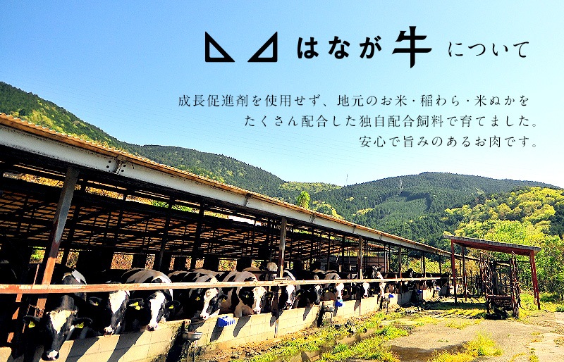 はなが牛ミスジ 焼肉用 (約200g）