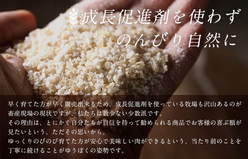 極 花香黒牛サーロインステーキ (約200g）