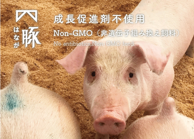 はなが豚スペアリブ (約500g）