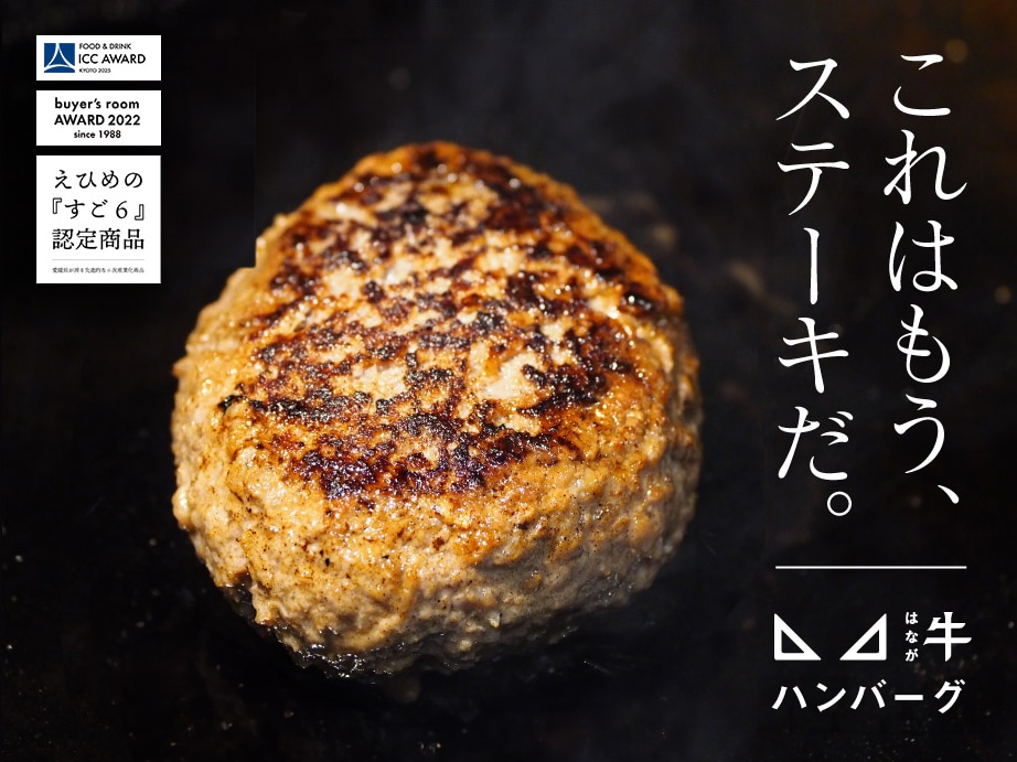 はなが牛ハンバーグ