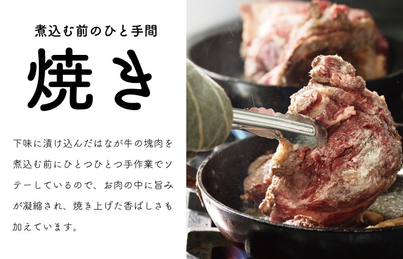 はなが牛 ステーキビーフシチュー