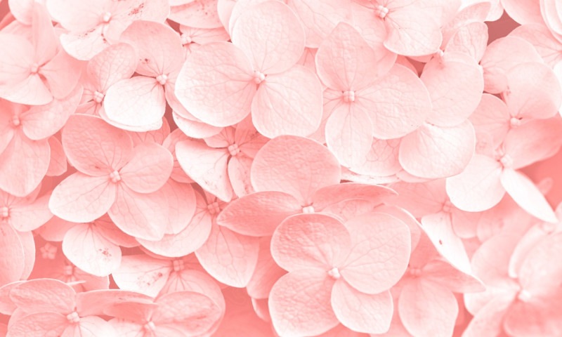 符加工オプション（ジュエリー）