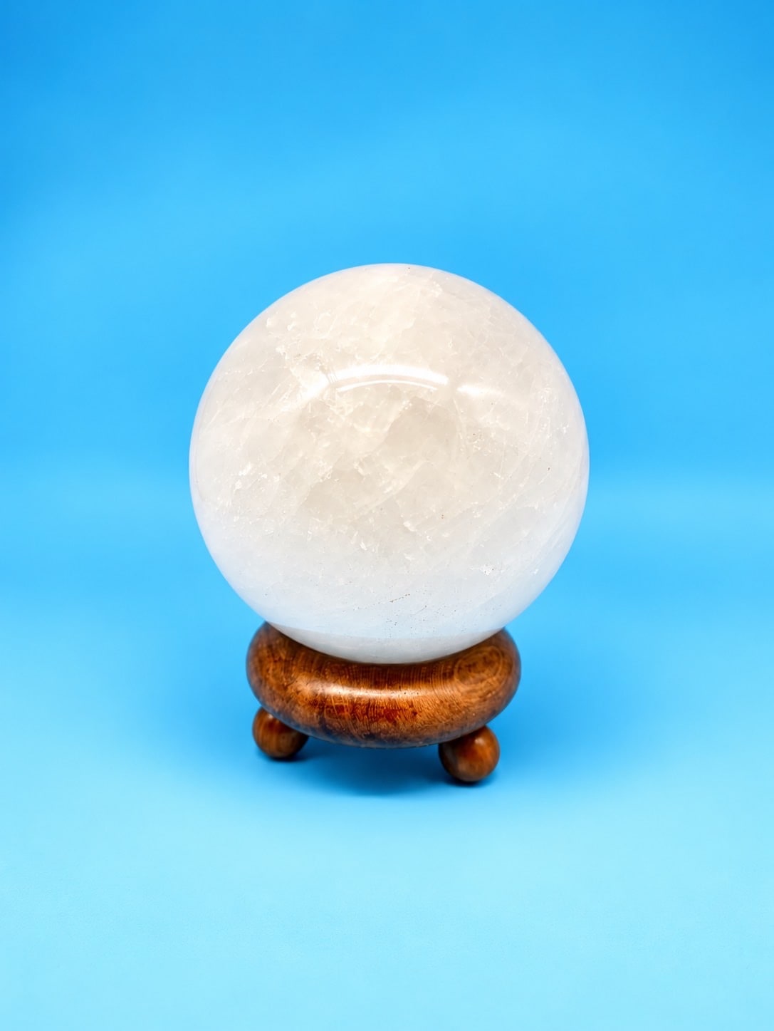 1点限定】李家幽竹が直接買い付けました！◇希少◇大玉ホワイト