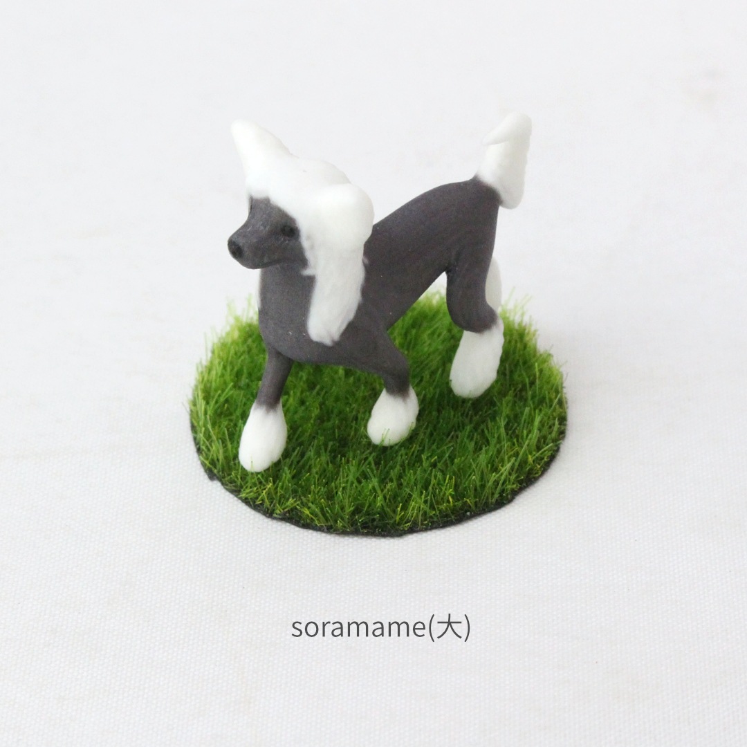 Partner's チャイニーズ・クレステッド・ドッグ －オリジナル