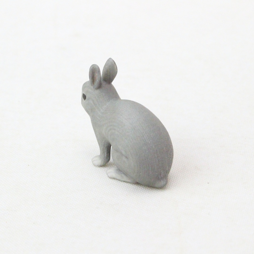 Partner's ネザーランド・ドワーフ ブルー －オリジナル