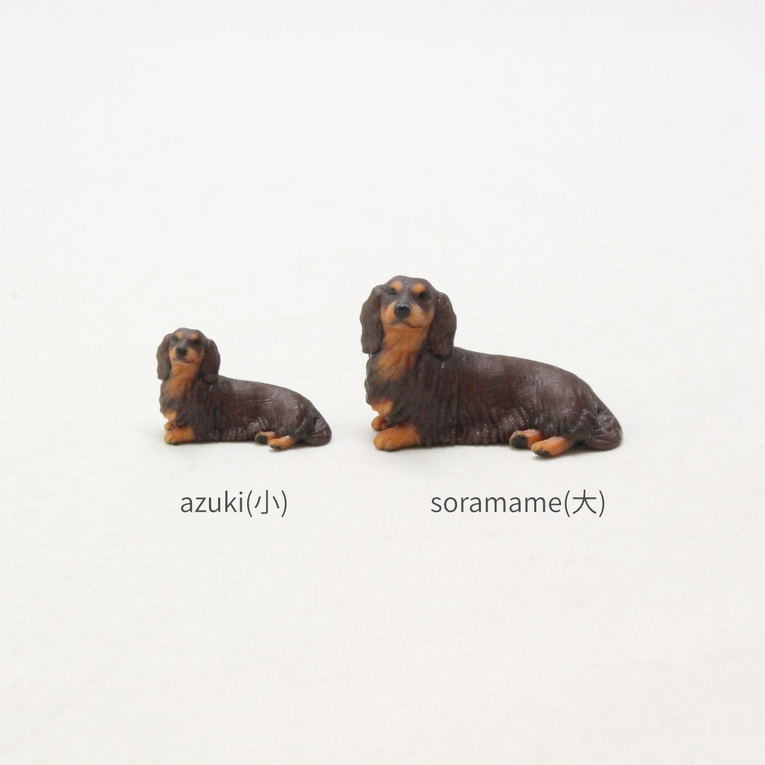 Partner's ロングヘアード・ミニチュア・ダックスフンド