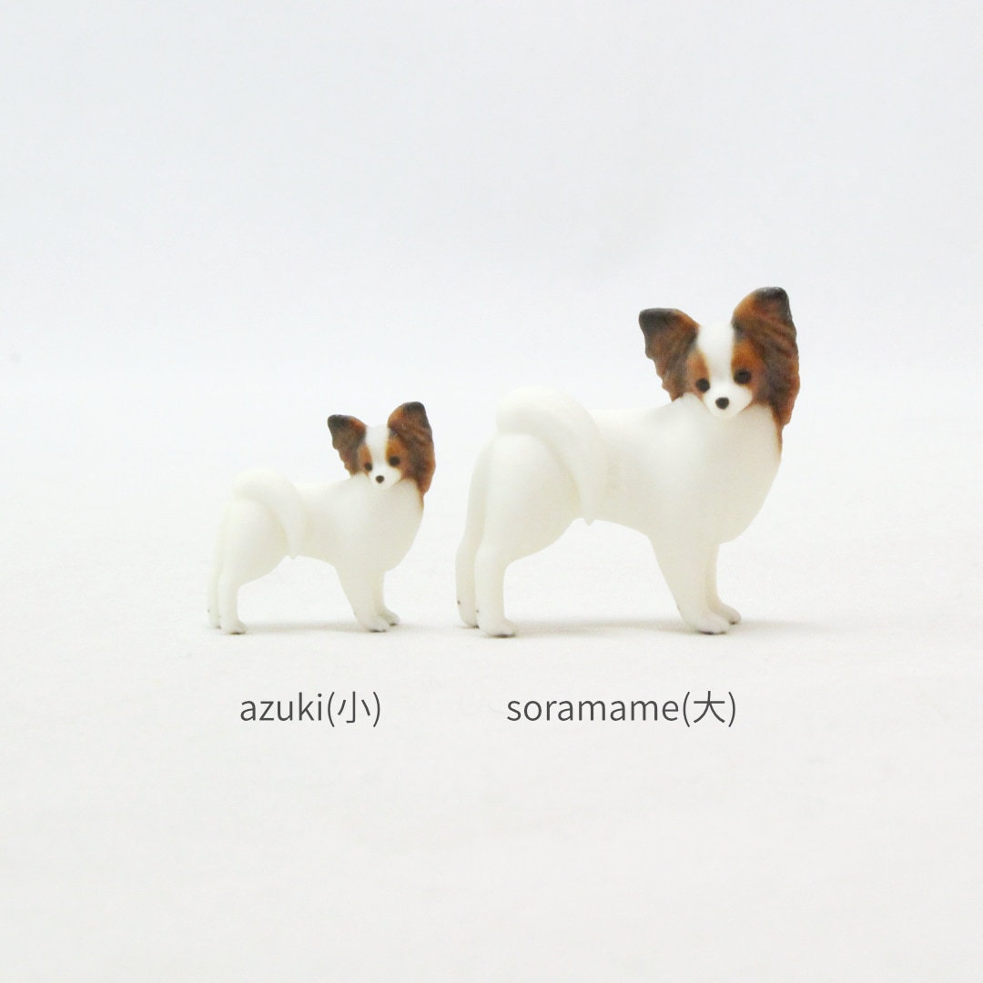 ★パピヨン①〜⑨★ 1_000000000250.jpg?1678209902