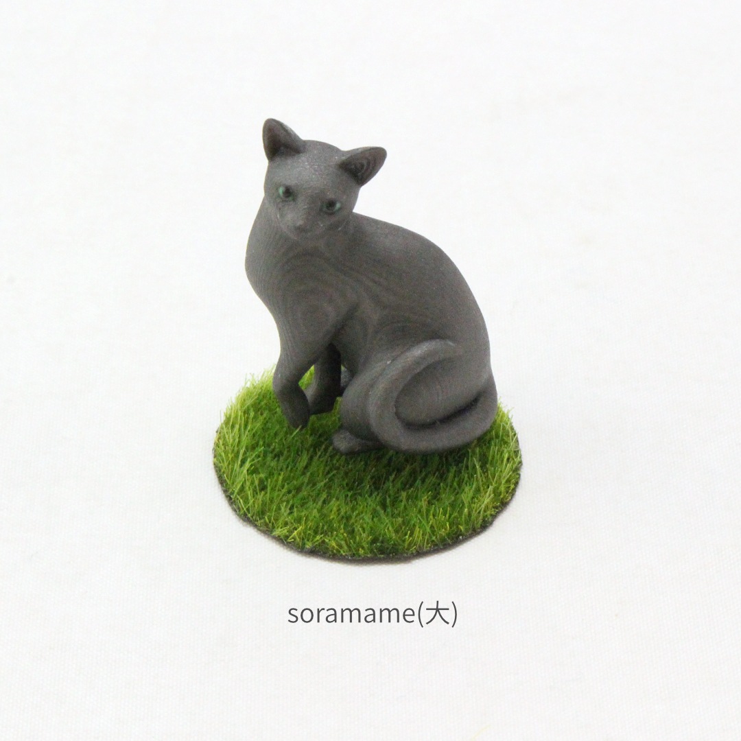 ロシアンブルー様⁎⁺˳ 埼玉】佐藤 美代子(さとう みよこ)ブリーダー｜みんなの子猫ブリーダー