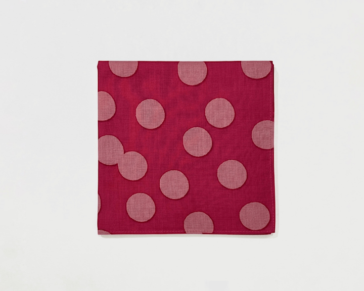 おいしい風呂敷「うめぼし」 ＜ゆうパケット配送対象＞