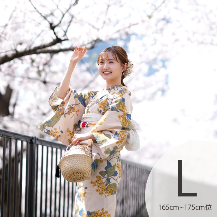 ニコアンティーク 浴衣3点セット（TL） 高級変わり織り 古典柄 レトロ アンティーク系 草花 きなり系|浴衣（ゆかた）|レディース