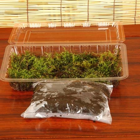 ŷ���ݶ̥��åȡ�