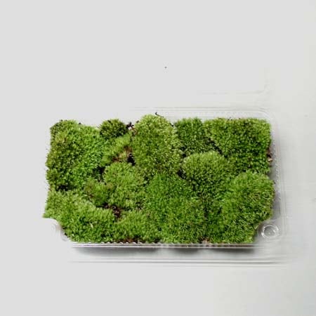 �ߺ��ѡ����ݡ���ޥ�����(�ѥå�����)