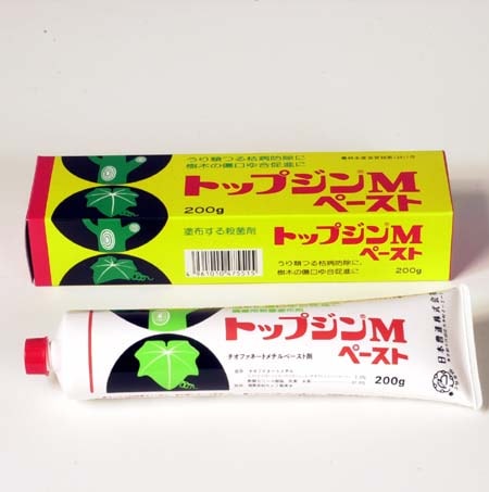 癒合剤 トップジンmペースト 大 0ｇ 盆栽手入れ道具 癒合剤 刃物用お手入れ道具 遊恵盆栽 本店