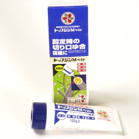癒合剤 トップジンmペースト 小 100ｇ 盆栽手入れ道具 癒合剤 刃物用お手入れ道具 遊恵盆栽 本店