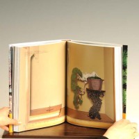 本：盆栽芸術-天- | 書籍,各種書籍 | 遊恵盆栽 本店