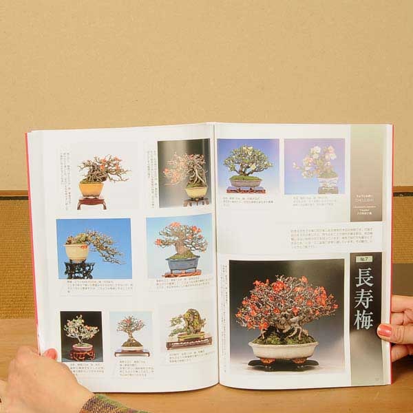 本：小品盆栽36種徹底紹介（上）*資材 | 書籍,各種書籍 | 遊恵盆栽 本店