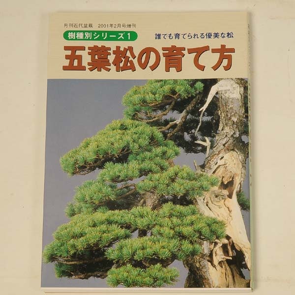 本：五葉松の育て方*資材 | 書籍,各種書籍 | 遊恵盆栽 本店