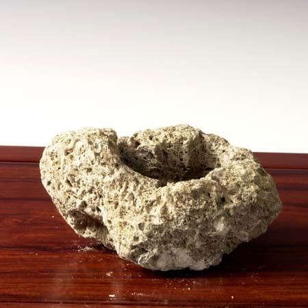 軽石 鉢 8個セット 自然形状 大量につき，大安売り 激安お買い得 軽石 鉢」の人気商品一覧 | 安い商品を通販サイトから探す - 価格.com