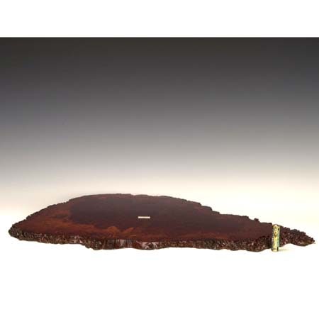 資材：地板 57cm* じいた | 添景・装飾品,花台・地板・飾,地板