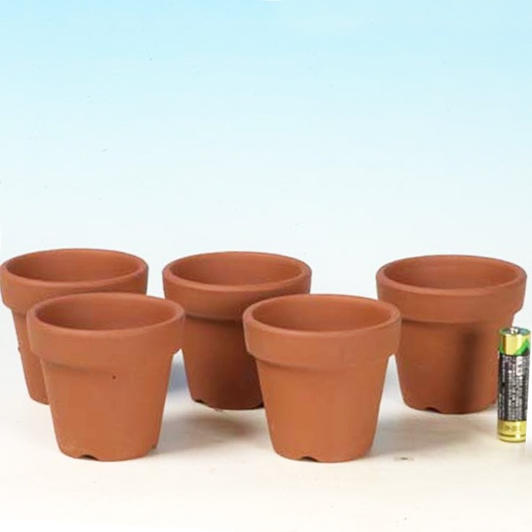 鉢：国産素焼き鉢 朱温 2号深 5個セット*資材 | 盆栽鉢・水盤