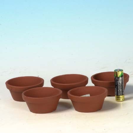 ȭ�����ǾƤ�ȭ���벹��2.5���������ĥ��å�*���