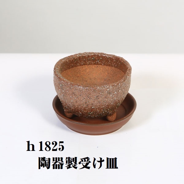 鉢：信楽焼小鉢(丸鉢) 7.6cm かみ山陶器*資材 | 盆栽鉢・水盤