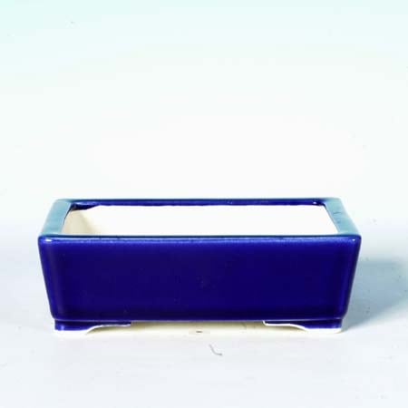 美功(びこう） 13cm【現品】 | 盆栽鉢・水盤,現代小鉢,美功(びこう