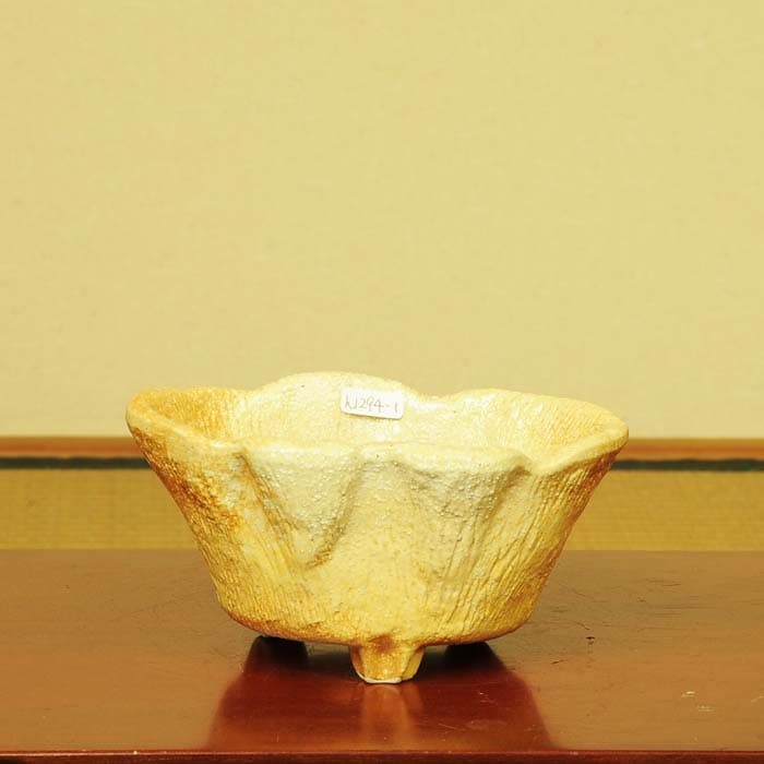 鉢：瀬戸焼小鉢(変形鉢) 15cm*資材 | 盆栽鉢・水盤,お買い得