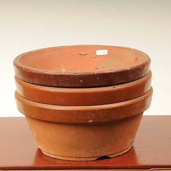 ȭ������š��ǾƤ�ȭ��8������3�ĥ��å�*���