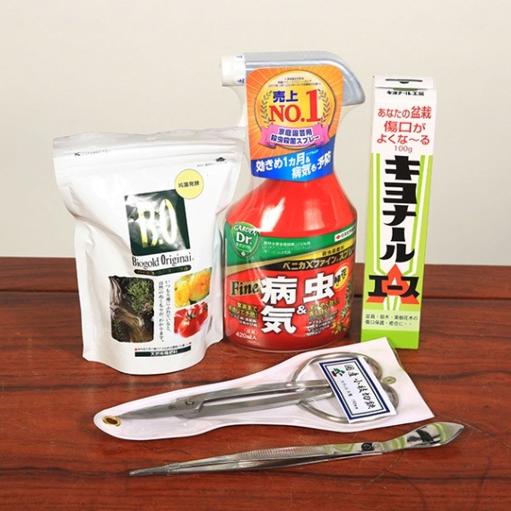 盆栽道具：初心者用盆栽デビューセット*資材 | 盆栽手入れ道具,セット